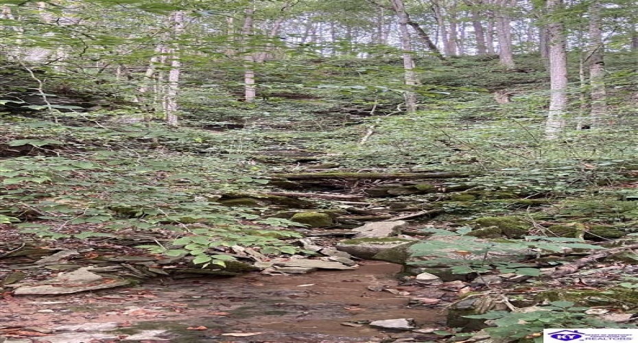 Hodgenville Road, Summersville, Kentucky 42782, ,For Sale,Hodgenville Road,HK24002715 Hodgenville Road, Summersville, Kentucky 42782, ,For Sale,Hodgenville Road,HK24002715