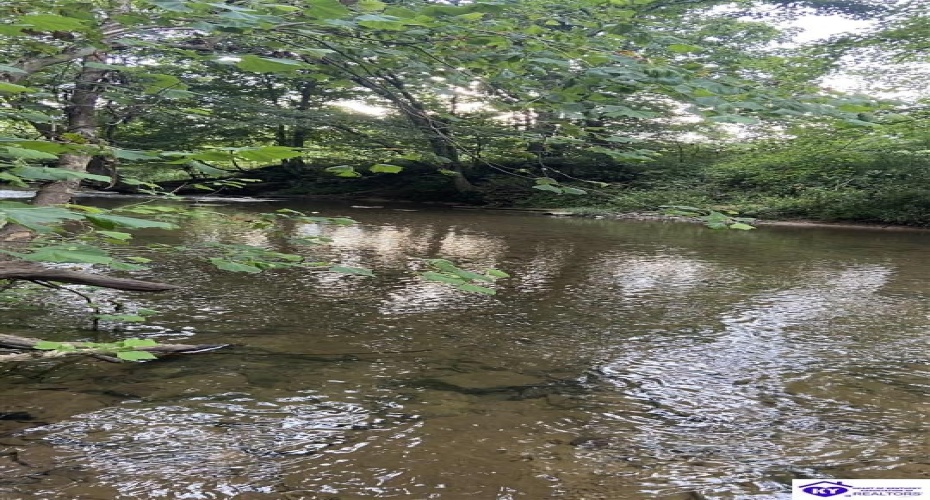 Hodgenville Road, Summersville, Kentucky 42782, ,For Sale,Hodgenville Road,HK24002715 Hodgenville Road, Summersville, Kentucky 42782, ,For Sale,Hodgenville Road,HK24002715