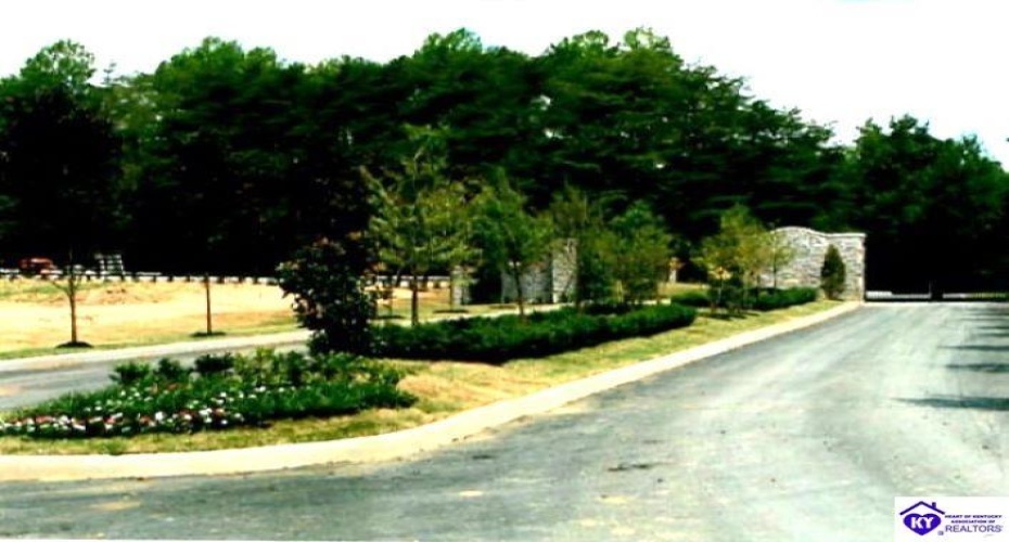 Bowman Christian Road, Russell Springs, Kentucky 42629, ,For Sale,Bowman Christian Road,HK24002765