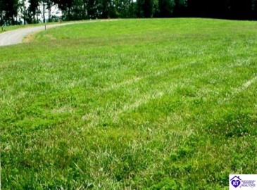 Bowman Christian Road, Russell Springs, Kentucky 42629, ,For Sale,Bowman Christian Road,HK24002765