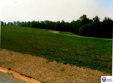 Bowman Christian Road, Russell Springs, Kentucky 42629, ,For Sale,Bowman Christian Road,HK24002765