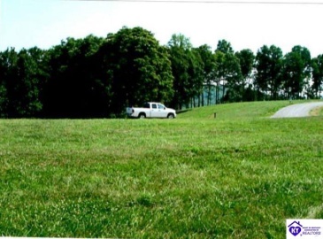 Bowman Christian Road, Russell Springs, Kentucky 42629, ,For Sale,Bowman Christian Road,HK24002765