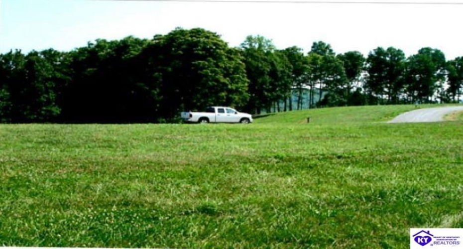 Bowman Christian Road, Russell Springs, Kentucky 42629, ,For Sale,Bowman Christian Road,HK24002765