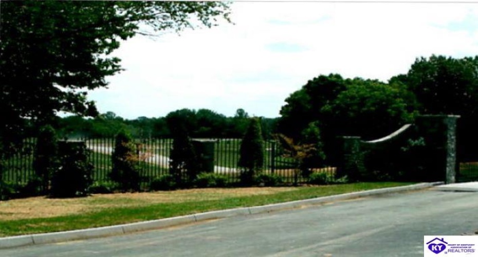 Bowman Christian Road, Russell Springs, Kentucky 42629, ,For Sale,Bowman Christian Road,HK24002765