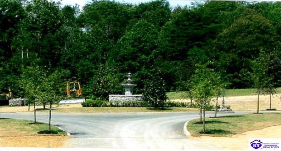 Bowman Christian Road, Russell Springs, Kentucky 42629, ,For Sale,Bowman Christian Road,HK24002765