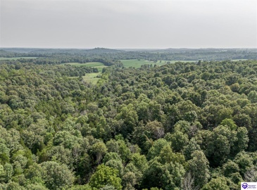 Wright Clark Cemetery Road, Cecilia, Kentucky 42724, ,5 BathroomsBathrooms,For Sale,Wright Clark Cemetery Road,HK24002803