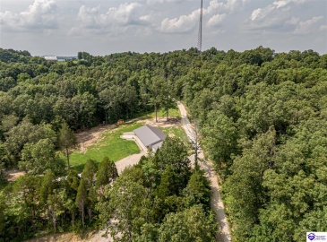 Wright Clark Cemetery Road, Cecilia, Kentucky 42724, ,5 BathroomsBathrooms,For Sale,Wright Clark Cemetery Road,HK24002803