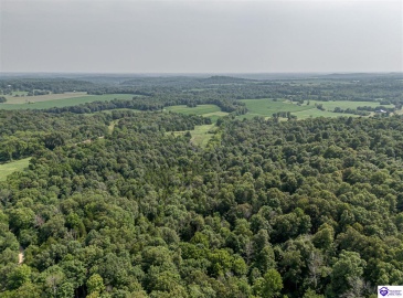 Wright Clark Cemetery Road, Cecilia, Kentucky 42724, ,5 BathroomsBathrooms,For Sale,Wright Clark Cemetery Road,HK24002803