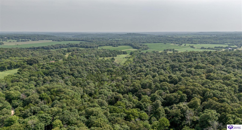Wright Clark Cemetery Road, Cecilia, Kentucky 42724, ,5 BathroomsBathrooms,For Sale,Wright Clark Cemetery Road,HK24002803