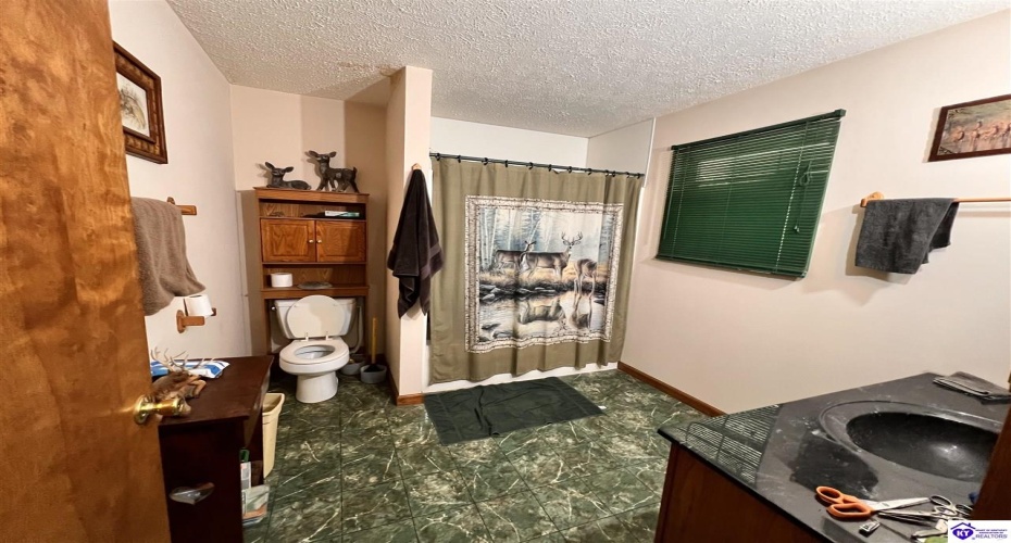 Sunnydale Road, Hartford, Kentucky 42347-0000, ,1 BathroomBathrooms,For Sale,Sunnydale Road,HK24002805