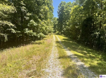 Sunnydale Road, Hartford, Kentucky 42347-0000, ,1 BathroomBathrooms,For Sale,Sunnydale Road,HK24002805