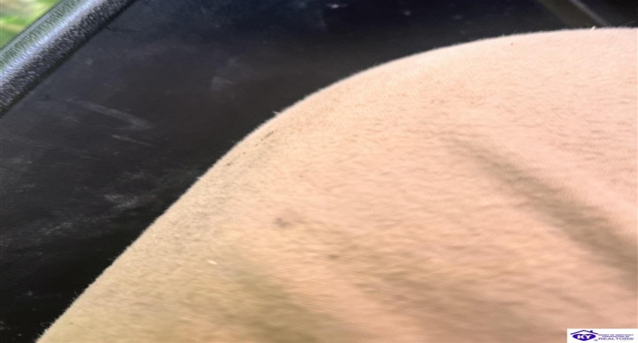 Sunnydale Road, Hartford, Kentucky 42347-0000, ,1 BathroomBathrooms,For Sale,Sunnydale Road,HK24002805