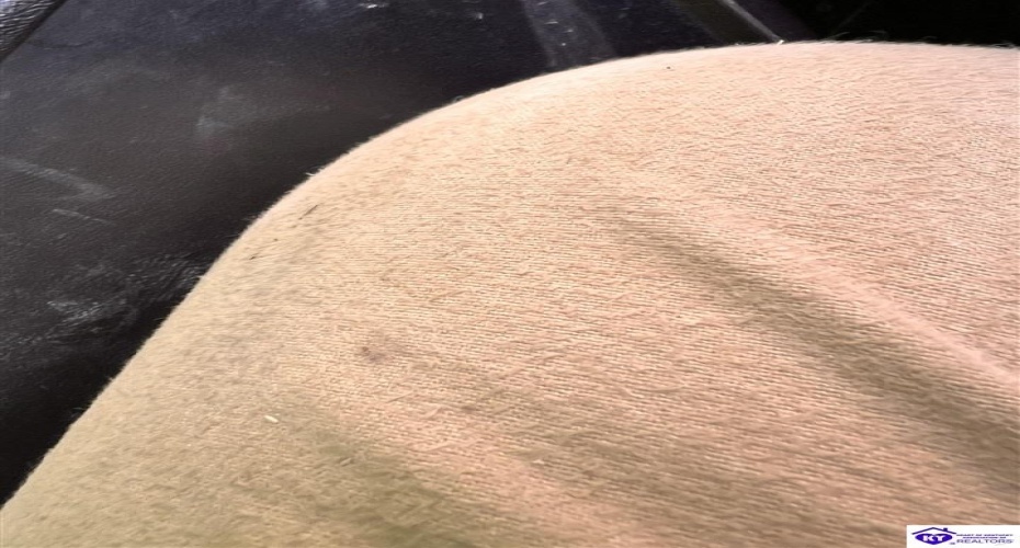 Sunnydale Road, Hartford, Kentucky 42347-0000, ,1 BathroomBathrooms,For Sale,Sunnydale Road,HK24002805