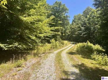 Sunnydale Road, Hartford, Kentucky 42347-0000, ,1 BathroomBathrooms,For Sale,Sunnydale Road,HK24002805