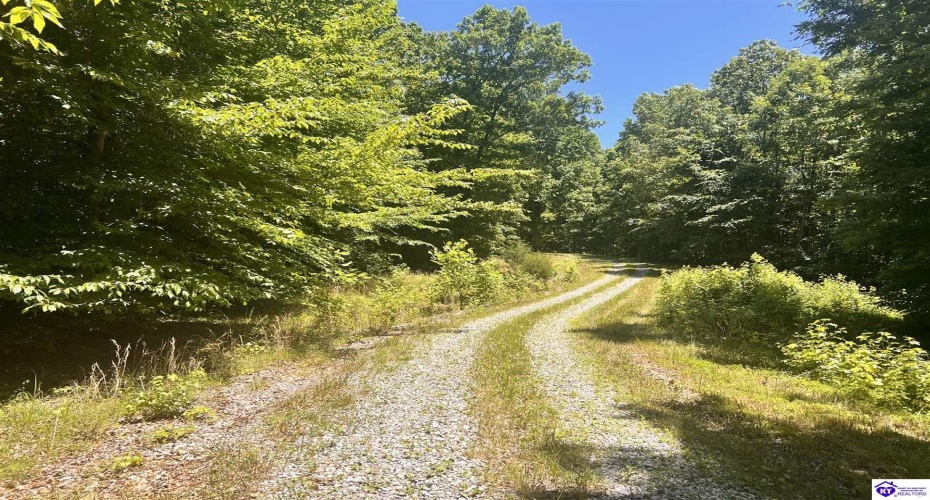 Sunnydale Road, Hartford, Kentucky 42347-0000, ,1 BathroomBathrooms,For Sale,Sunnydale Road,HK24002805