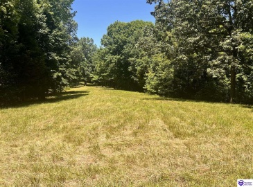 Sunnydale Road, Hartford, Kentucky 42347-0000, ,1 BathroomBathrooms,For Sale,Sunnydale Road,HK24002805