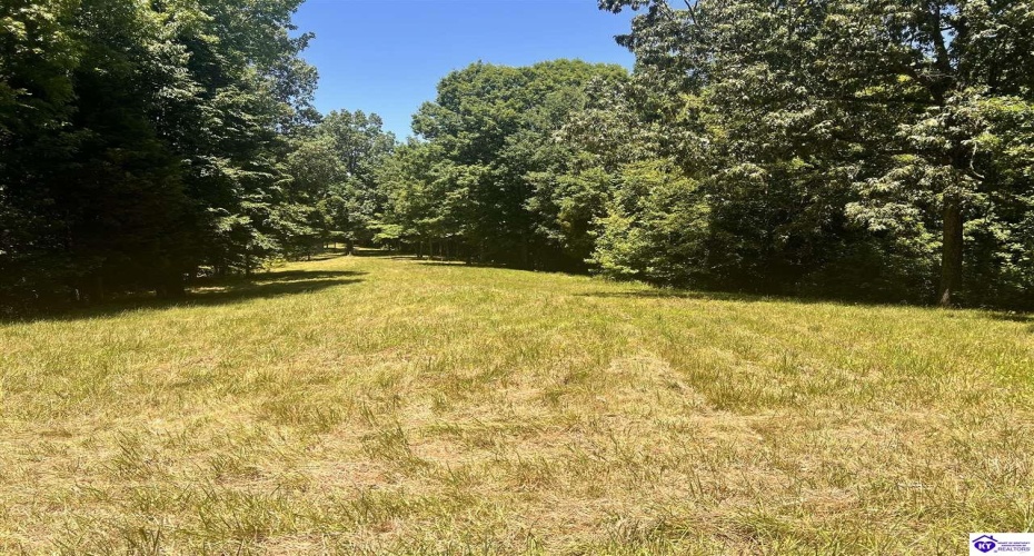 Sunnydale Road, Hartford, Kentucky 42347-0000, ,1 BathroomBathrooms,For Sale,Sunnydale Road,HK24002805