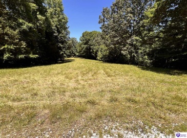 Sunnydale Road, Hartford, Kentucky 42347-0000, ,1 BathroomBathrooms,For Sale,Sunnydale Road,HK24002805