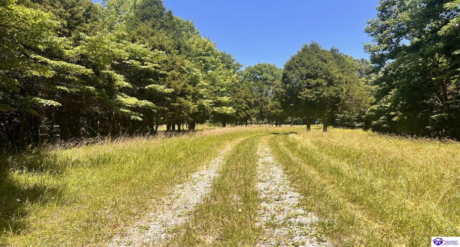 Sunnydale Road, Hartford, Kentucky 42347-0000, ,1 BathroomBathrooms,For Sale,Sunnydale Road,HK24002805