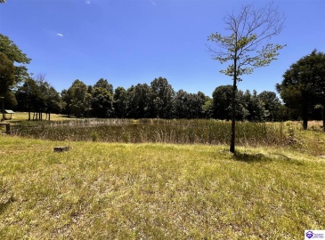 Sunnydale Road, Hartford, Kentucky 42347-0000, ,1 BathroomBathrooms,For Sale,Sunnydale Road,HK24002805