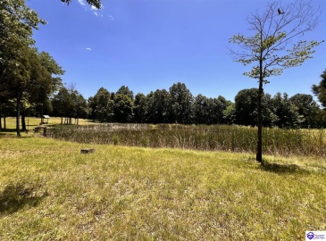 Sunnydale Road, Hartford, Kentucky 42347-0000, ,1 BathroomBathrooms,For Sale,Sunnydale Road,HK24002805