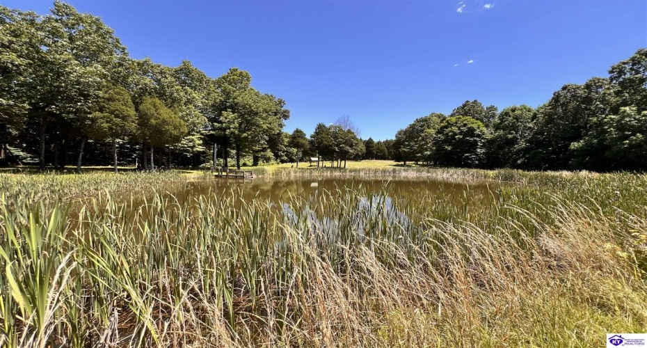 Sunnydale Road, Hartford, Kentucky 42347-0000, ,1 BathroomBathrooms,For Sale,Sunnydale Road,HK24002805