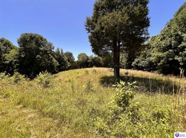 Sunnydale Road, Hartford, Kentucky 42347-0000, ,1 BathroomBathrooms,For Sale,Sunnydale Road,HK24002805