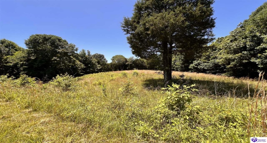 Sunnydale Road, Hartford, Kentucky 42347-0000, ,1 BathroomBathrooms,For Sale,Sunnydale Road,HK24002805