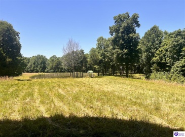 Sunnydale Road, Hartford, Kentucky 42347-0000, ,1 BathroomBathrooms,For Sale,Sunnydale Road,HK24002805