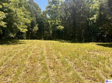 Sunnydale Road, Hartford, Kentucky 42347-0000, ,1 BathroomBathrooms,For Sale,Sunnydale Road,HK24002805