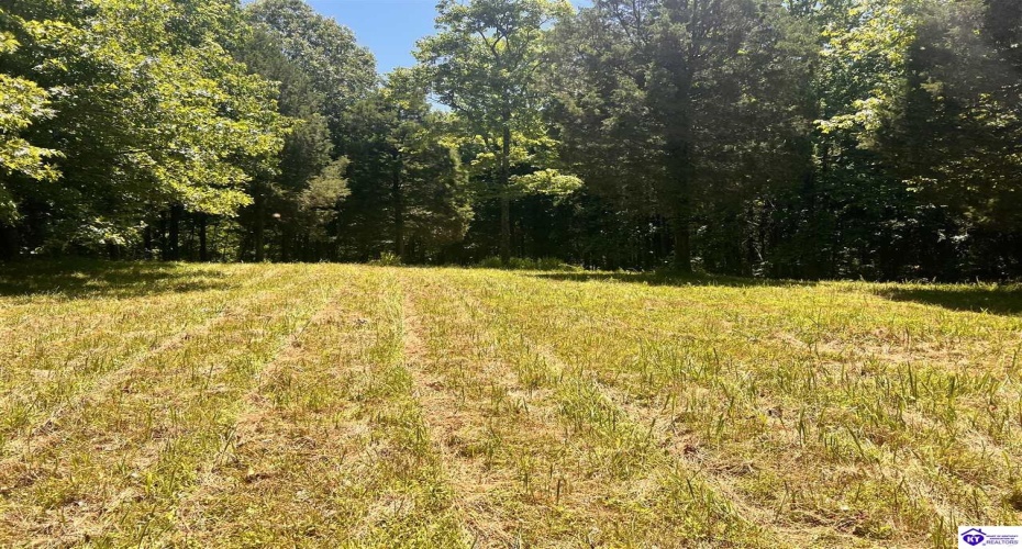 Sunnydale Road, Hartford, Kentucky 42347-0000, ,1 BathroomBathrooms,For Sale,Sunnydale Road,HK24002805