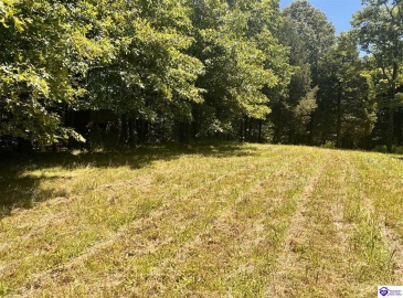 Sunnydale Road, Hartford, Kentucky 42347-0000, ,1 BathroomBathrooms,For Sale,Sunnydale Road,HK24002805