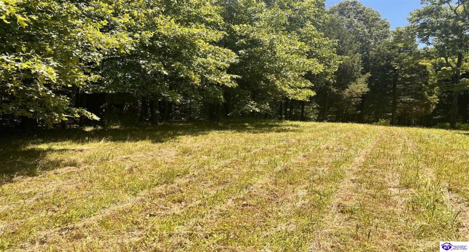 Sunnydale Road, Hartford, Kentucky 42347-0000, ,1 BathroomBathrooms,For Sale,Sunnydale Road,HK24002805