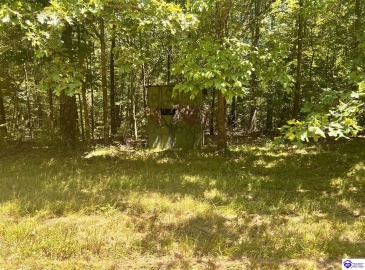 Sunnydale Road, Hartford, Kentucky 42347-0000, ,1 BathroomBathrooms,For Sale,Sunnydale Road,HK24002805