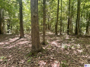 Sunnydale Road, Hartford, Kentucky 42347-0000, ,1 BathroomBathrooms,For Sale,Sunnydale Road,HK24002805