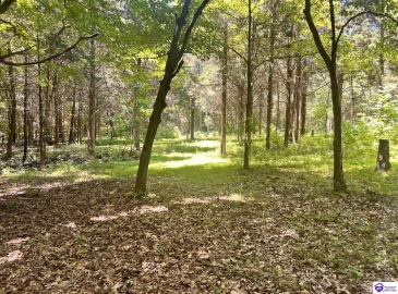 Sunnydale Road, Hartford, Kentucky 42347-0000, ,1 BathroomBathrooms,For Sale,Sunnydale Road,HK24002805