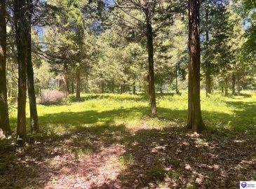 Sunnydale Road, Hartford, Kentucky 42347-0000, ,1 BathroomBathrooms,For Sale,Sunnydale Road,HK24002805