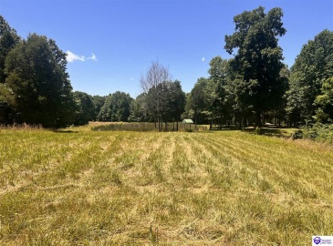 Sunnydale Road, Hartford, Kentucky 42347-0000, ,1 BathroomBathrooms,For Sale,Sunnydale Road,HK24002805