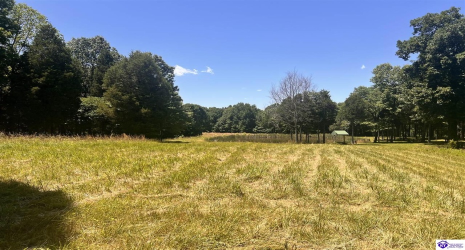 Sunnydale Road, Hartford, Kentucky 42347-0000, ,1 BathroomBathrooms,For Sale,Sunnydale Road,HK24002805