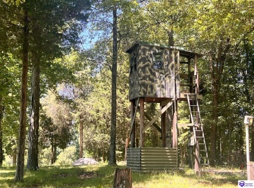 Sunnydale Road, Hartford, Kentucky 42347-0000, ,1 BathroomBathrooms,For Sale,Sunnydale Road,HK24002805