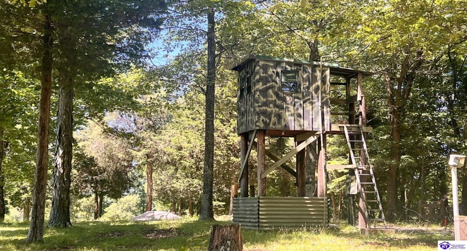 Sunnydale Road, Hartford, Kentucky 42347-0000, ,1 BathroomBathrooms,For Sale,Sunnydale Road,HK24002805