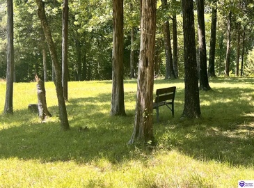 Sunnydale Road, Hartford, Kentucky 42347-0000, ,1 BathroomBathrooms,For Sale,Sunnydale Road,HK24002805