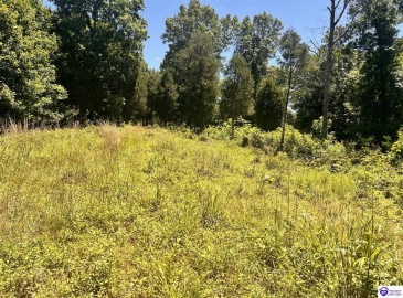 Sunnydale Road, Hartford, Kentucky 42347-0000, ,1 BathroomBathrooms,For Sale,Sunnydale Road,HK24002805