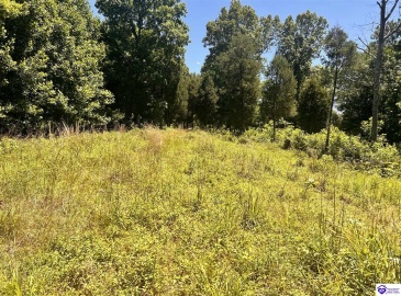 Sunnydale Road, Hartford, Kentucky 42347-0000, ,1 BathroomBathrooms,For Sale,Sunnydale Road,HK24002805