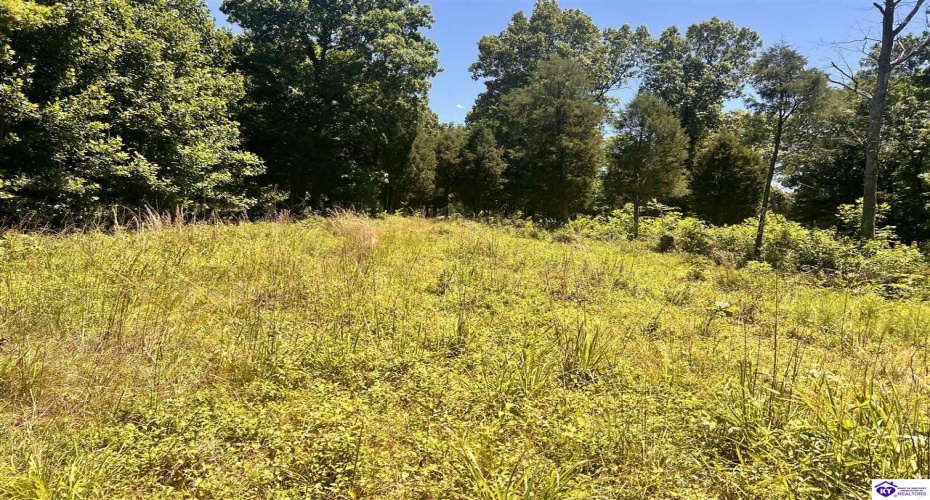 Sunnydale Road, Hartford, Kentucky 42347-0000, ,1 BathroomBathrooms,For Sale,Sunnydale Road,HK24002805