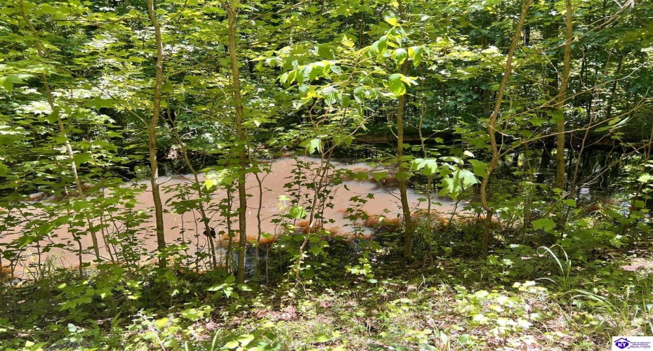 Sunnydale Road, Hartford, Kentucky 42347-0000, ,1 BathroomBathrooms,For Sale,Sunnydale Road,HK24002805