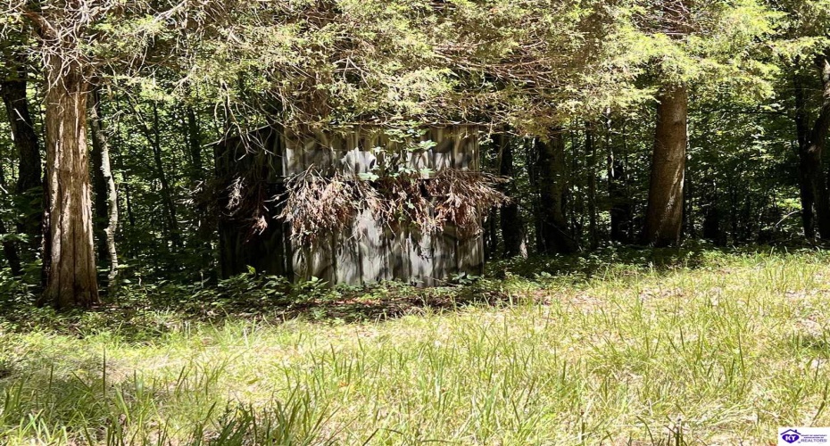 Sunnydale Road, Hartford, Kentucky 42347-0000, ,1 BathroomBathrooms,For Sale,Sunnydale Road,HK24002805