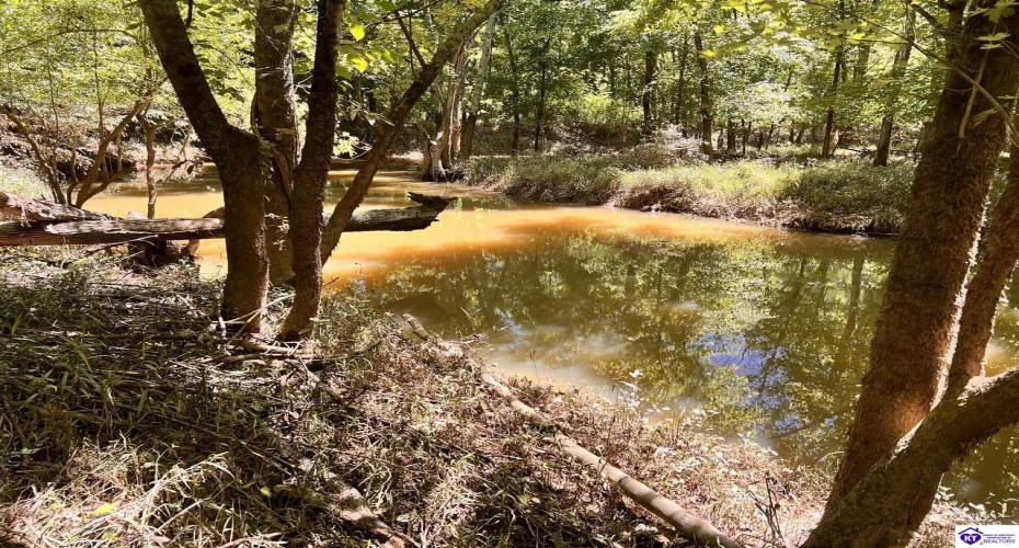 Sunnydale Road, Hartford, Kentucky 42347-0000, ,1 BathroomBathrooms,For Sale,Sunnydale Road,HK24002805