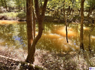 Sunnydale Road, Hartford, Kentucky 42347-0000, ,1 BathroomBathrooms,For Sale,Sunnydale Road,HK24002805