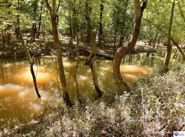 Sunnydale Road, Hartford, Kentucky 42347-0000, ,1 BathroomBathrooms,For Sale,Sunnydale Road,HK24002805